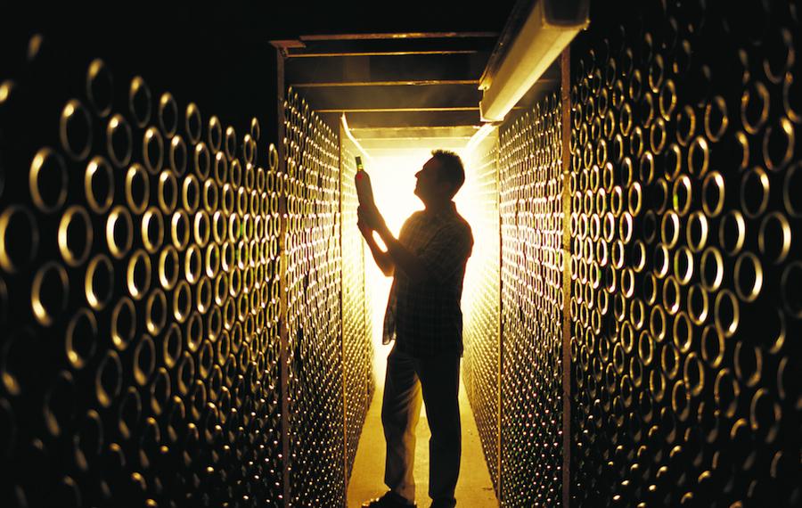 Premium Wine Trail Premium Wine Trail image
